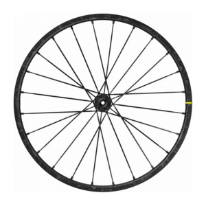 Roue Arrière VTT Mavic Deemax Pro Sam Hill Disque 6 Trous 27,5" Boost (28-584)