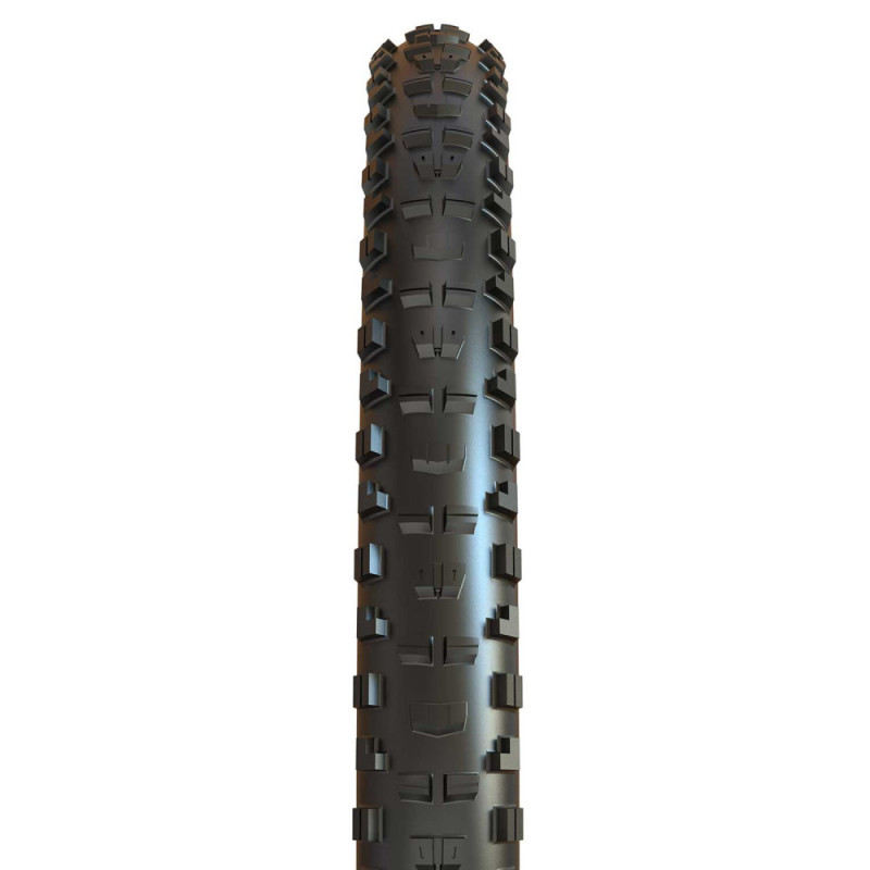 Maxxis minion 2.6 on sale